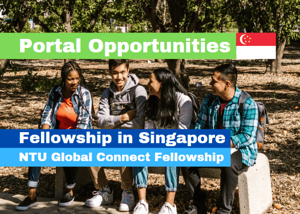 NTU Global Connect Fellowship 2025 in Singapore