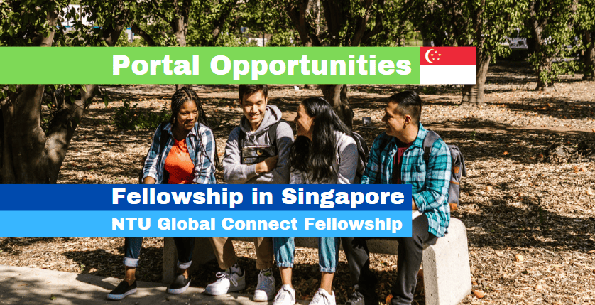 NTU Global Connect Fellowship 2025 in Singapore